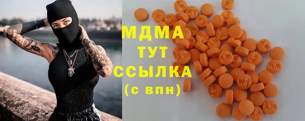 стаф Тайга